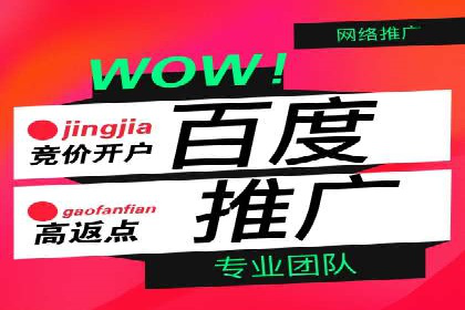 百度推广代理：打造高效的网络营销生态圈的实践